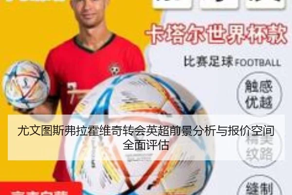 尤文图斯弗拉霍维奇转会英超前景分析与报价空间全面评估
